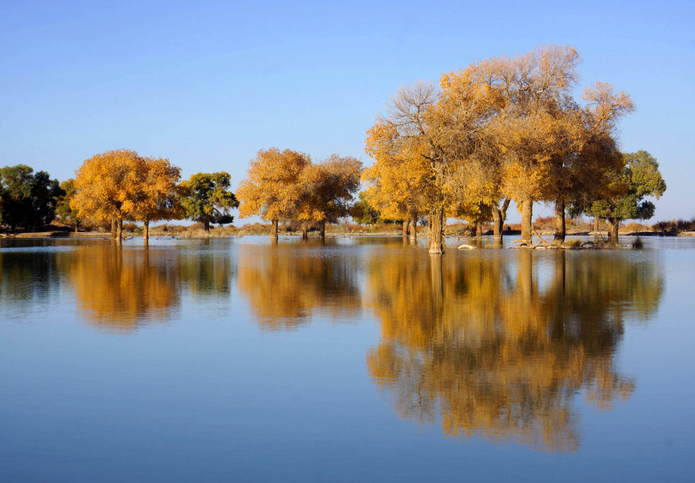 苍天般的阿拉善