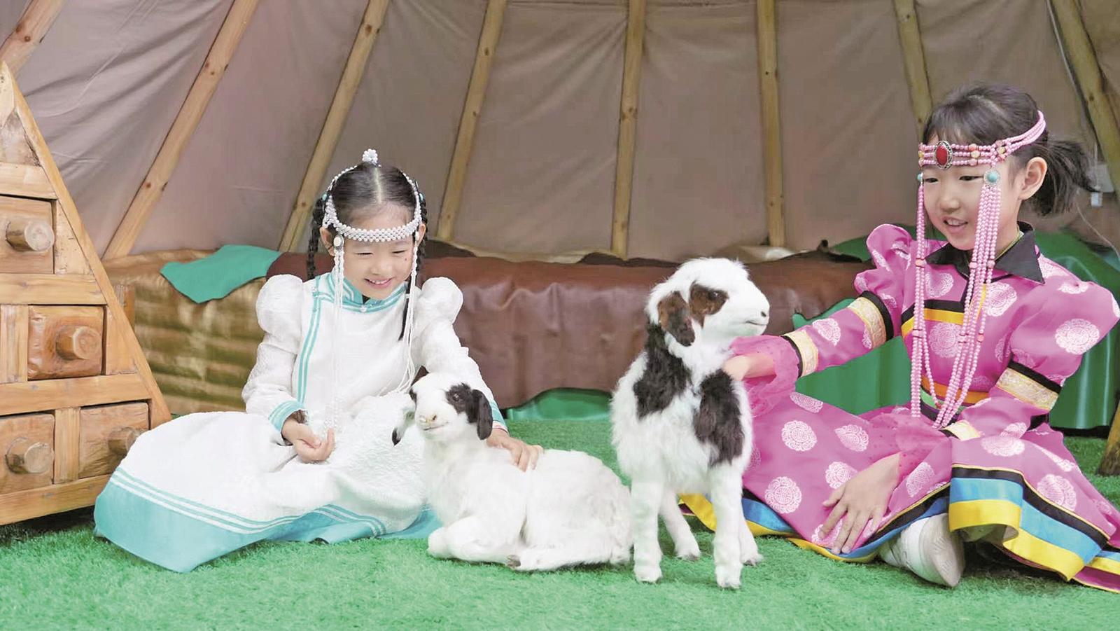 群众教育：筑牢北疆团结发展基石