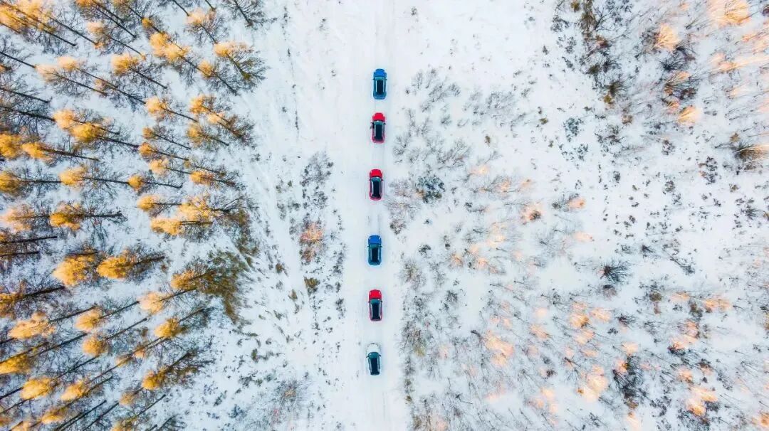 赴牙克石，赴我的冰雪乌托邦