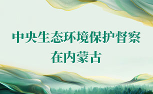 中央生态环境保护督察在内蒙古